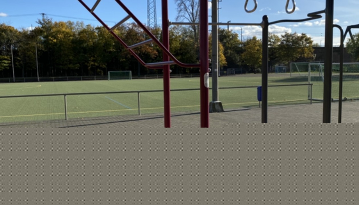 Calisthenics-Anlage Wiesbaden